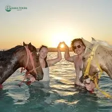 Horseback riding with swimming in the sea